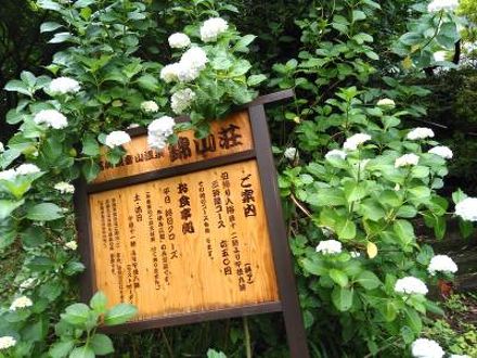 高崎観音山温泉　錦山荘 写真