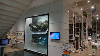 プラネタリウムやってます。