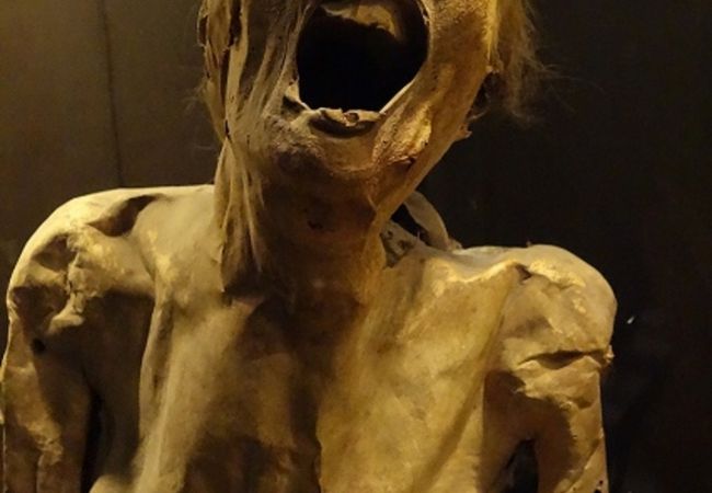 ミイラ博物館 クチコミ アクセス 営業時間 グアナファト フォートラベル ミイラ博物館 クチコミ アクセス 営業時間 グアナファト フォートラベル