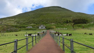 車で途中まですぐ行けるしやはり見晴らしが最高です