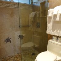 バスタブ、ウォシュレットはなし