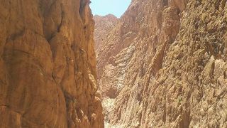 思ってたより大きくて