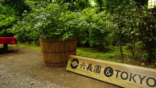 きれいな日本庭園