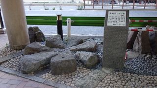 花のように並んだ石が有りました