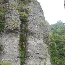 ロープウェーから見えるむき出しの岩肌。