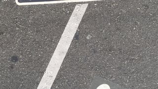 JR西日本 新快速 (223系・225系) 