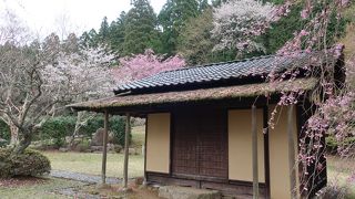 女子教育の先駆者 下田歌子氏の原点。