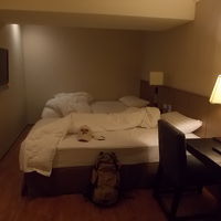 窓なしスタンダードツイン