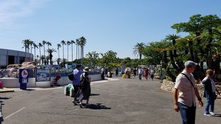 巨大生物の多い水族館