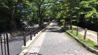 永観堂から銀閣寺まで３０分