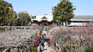 梅まつりの御朱印