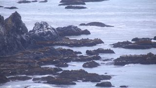 えりもの春はなにもない…わけではない