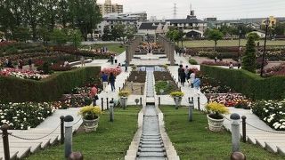 たくさんの薔薇が美しい