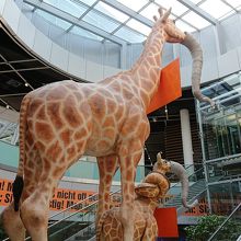 キリンの首と鼻に注目