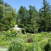 季節の花が楽しめる庭園