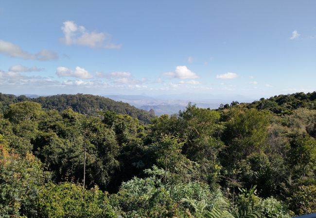 ラミントン国立公園