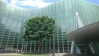 最先端の芸術を堪能