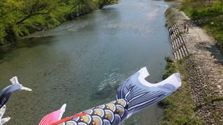 気持ちのいい吊り橋