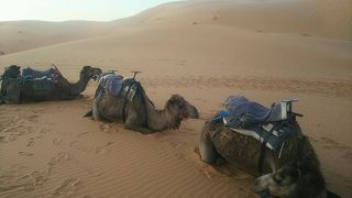 ツアーに参加したがなかなか大変だった