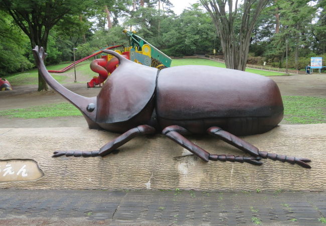 広い公園です