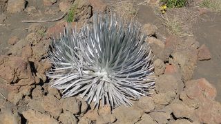 ２駆ではここまで。