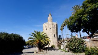 この界隈　川沿いだし散歩に最高