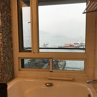 遊覧船の船着き場が見える