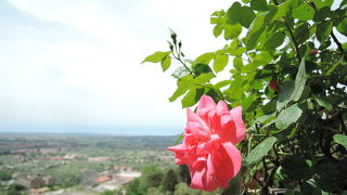 庭園の噴水が有名ですが