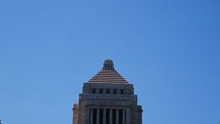 よく見るあれやこれや