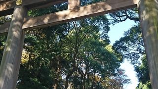 こんな場所が都会のど真ん中に！？