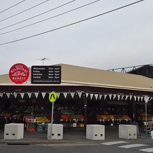 早朝から開いています