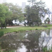 池のほとりからの景色が素晴らしい建物です。