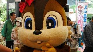 ひとときの空中散歩