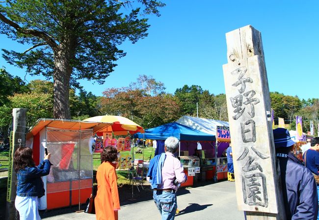 天気が…残念