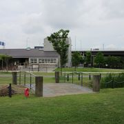 敷地内に日産スタジアムもある広大な公園は非常時は遊水地としての機能も兼ね備えています