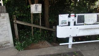 鎌倉谷戸歩きの途中で鎌倉中央公園に寄りました