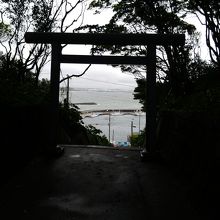 酒列磯前神社の樹叢から漁港方向 