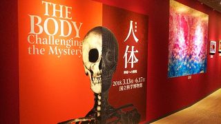 特別展　人体へ