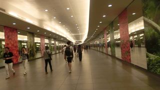 マリーナベイサンズに泊まったので何回か乗り降りしましたが人が多い駅です