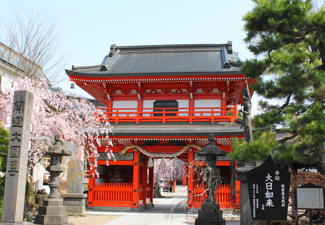 桜が満開