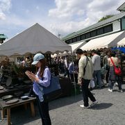 春と秋に年に２回開催される益子の陶器市は掘り出し物がいっぱい