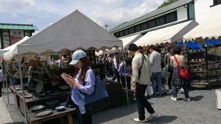 春と秋に年に２回開催される益子の陶器市は掘り出し物がいっぱい