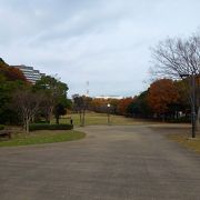 広々とした公園で、公園内に高さ30mの「山田富士」があります。