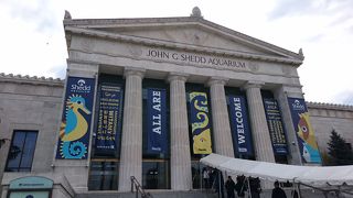 ショーのチケットは早めにとっておきましょう