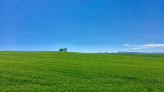 素敵な景色でした。