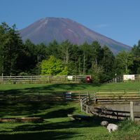 富士山も見えて景色がいいです