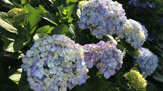 三浦観光には欠かせない景勝地