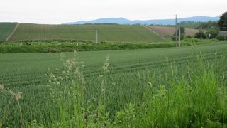 レンタサイクルで。