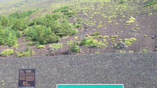 富士宮口登山道：最短距離