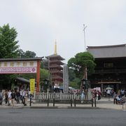 歩きつかれたけど、紫陽花は綺麗でした。